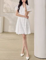DR235163/Pre-order