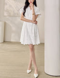 DR235163/Pre-order