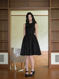 DR236286/Pre-order