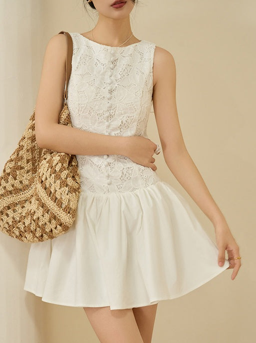 DR236279/Pre-order