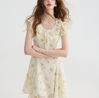 DR235093/Pre-order