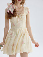 DR235217/Pre-order