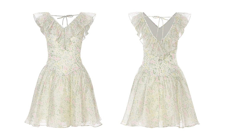 DR235064/Pre-order