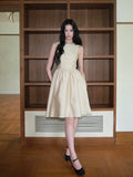 DR236286/Pre-order
