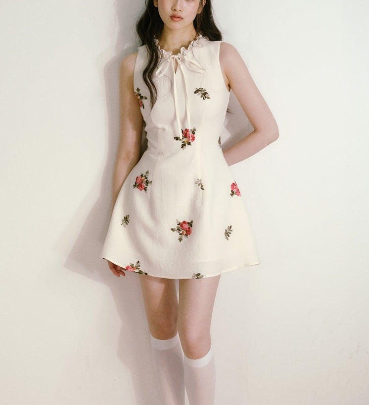 DR235108/Pre-order