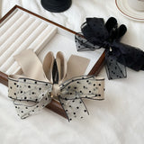 HA25621/Pre-order