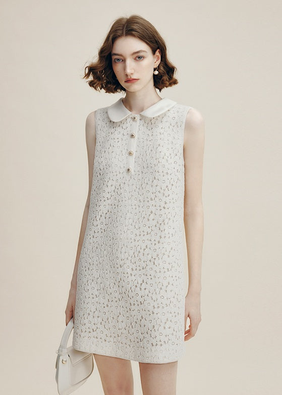 DR235254/Pre-order