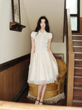 DR236094 Skirt/Pre-order 3 colour