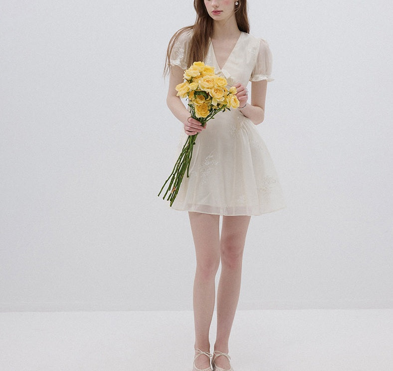 DR236100/Pre-order