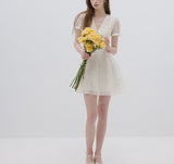 DR236100/Pre-order