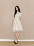 DR236094 Skirt/Pre-order 3 colour