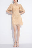 DR23434/Pre-order