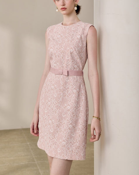 DR235639/Pre-order