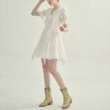 DR235652/Pre-order