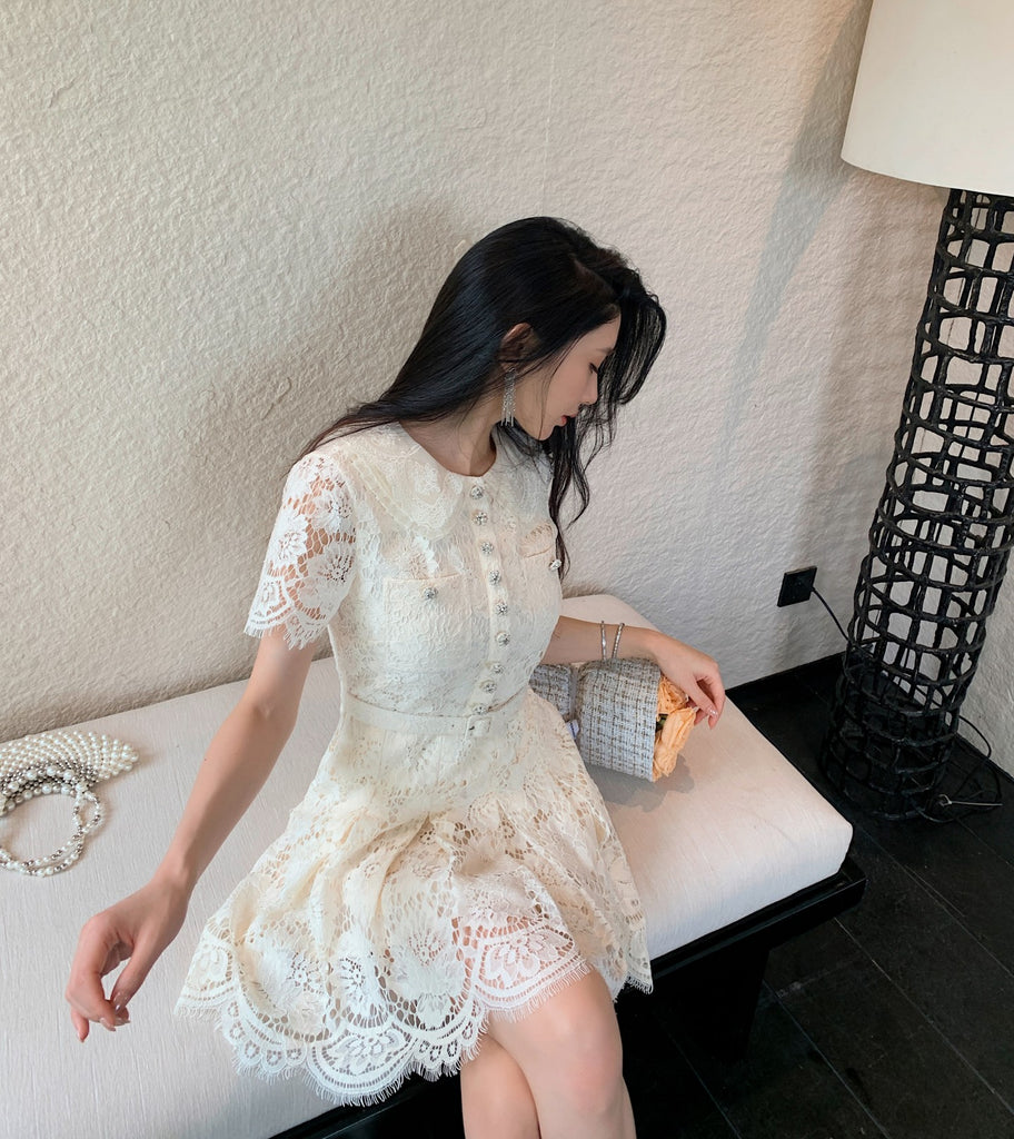 DR235620/Pre-order