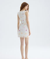DR235588/Pre-order
