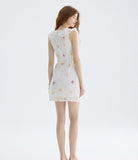 DR235588/Pre-order