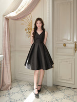 DR235593/Pre-order 2 colours
