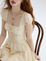 DR235217/Pre-order