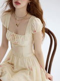 DR235217/Pre-order