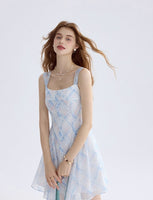 DR235570/Pre-order