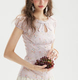 DR236231 Top/Pre-order