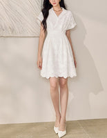 DR235163/Pre-order