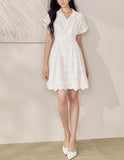 DR235163/Pre-order