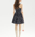 DR236230/Pre-order