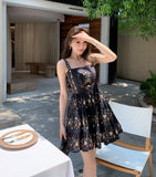 DR236274/Pre-order