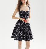 DR236230/Pre-order