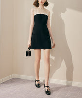 DR235151/Pre-order