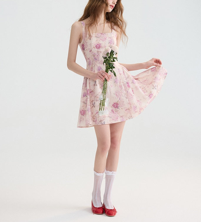 DR235104/Pre-order