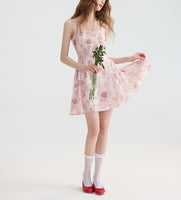 DR235104/Pre-order