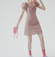 DR235663/Pre-order