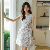 DR235637/Pre-order