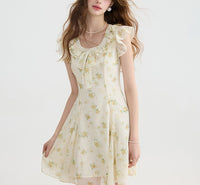DR235093/Pre-order