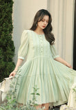DR236262/Pre-order