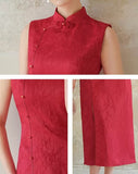 DR236120/Pre-order