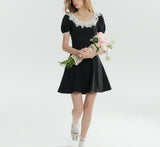 DR236292/Pre-order