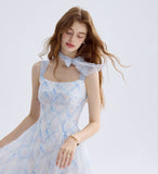 DR235570/Pre-order