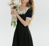 DR236292/Pre-order