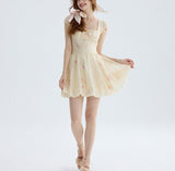 DR235217/Pre-order