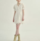 DR235652/Pre-order