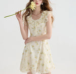 DR235093/Pre-order