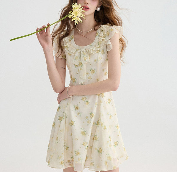 DR235093/Pre-order