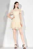 DR232531/Pre-order {Restocked}