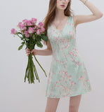 DR236074/Pre-order