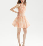 DR236222/Pre-order