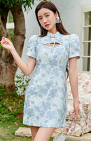 DR232511/Pre-order